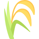 صفحه اصلی 16 برنج درجه 1 گیلان