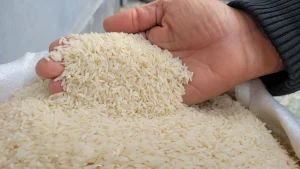 برنج هاشمی 4 برنج هاشمی درجه 1 گیلان