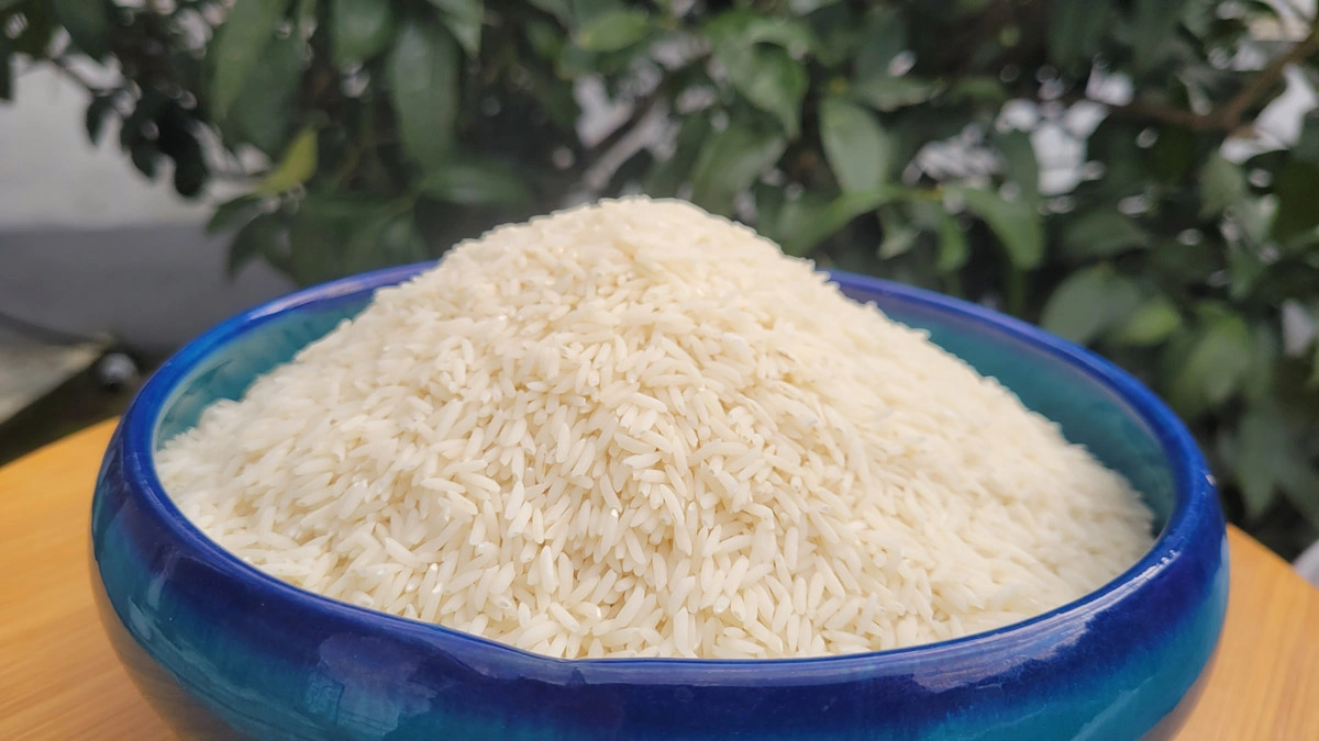 برنج هاشمی ممتاز 2 برنج هاشمی ممتاز