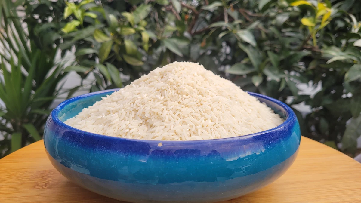 برنج شیرودی 3 خرید برنج شیرودی