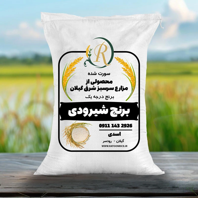 برنج شیرودی 1 خرید برنج شیرودی
